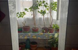 Apartament cu 2 camere, decomandat, zona Dristor