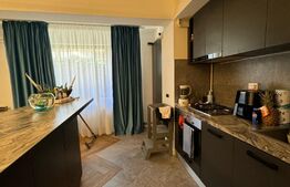 Apartament Herastrau / Soseaua Nordului
