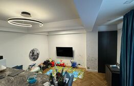 Apartament Herastrau / Soseaua Nordului