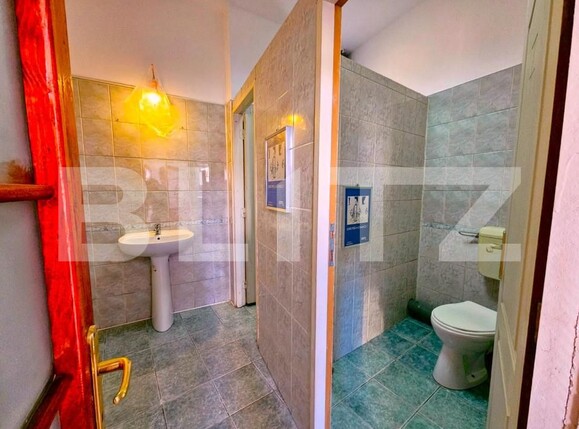 Casa de închiriat 8 camere Unirii - 139716CI | BLITZ București | Poza17