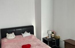 Investitie! Apartament 2 camere Tineretului