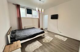 Garsoniera 32,79 mp, bloc nou, demisol cu loc de parcare inclus, Petre Ispirescu