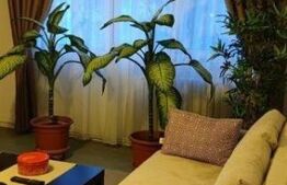 Apartament 4 camere, decomandat, 78 mp, zona Titan-Trapezului