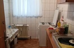 Apartament 2 camere, 50 mp, Dristor Bebe Tei