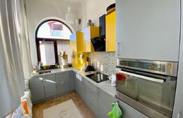 Apartament in vila interbelica, modern si luminos, Parcul Carol