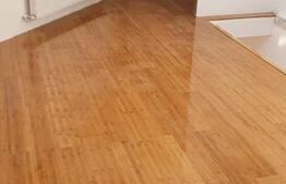 Casa Domenii, 4 camere, 91mp, pretabil si pentru clinica/firma, 1 Mai