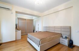 Vila de lux 11 camere, 545 mp, teren 1000 mp, Bucurestii Noi 