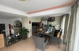 Vila Cu Posbilitate De Investitie - 420 Mp - Antiaeriana