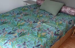 Garsoniera, 21mp , zona Bulevardul Magheru