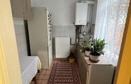 2 case Mihalache-1Mai, suprafata utila 126mp, teren 300mp