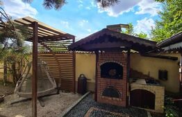 Vila spatioasa de 320 mp cu 7 camere, 4 bai si piscina in Balotesti