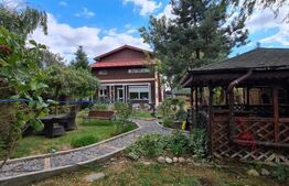 Vila spatioasa de 320 mp cu 7 camere, 4 bai si piscina in Balotesti