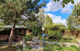 Vila spatioasa de 320 mp cu 7 camere, 4 bai si piscina in Balotesti