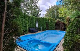 Vila spatioasa de 320 mp cu 7 camere, 4 bai si piscina in Balotesti