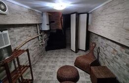 Vila spatioasa de 320 mp cu 7 camere, 4 bai si piscina in Balotesti