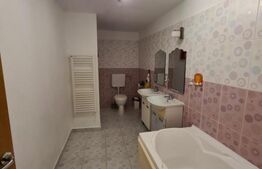 Vila spatioasa de 320 mp cu 7 camere, 4 bai si piscina in Balotesti