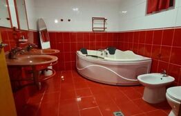 Vila spatioasa de 320 mp cu 7 camere, 4 bai si piscina in Balotesti