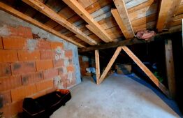 Vilă de 230 mp utili, mobilata, 844 mp teren, în comuna Berceni