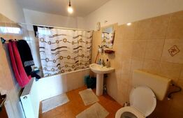 Vilă de 230 mp utili, mobilata, 844 mp teren, în comuna Berceni