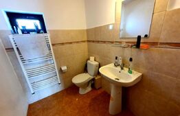 Vilă de 230 mp utili, mobilata, 844 mp teren, în comuna Berceni