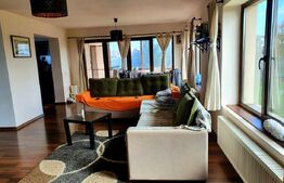 Vilă de 230 mp utili, mobilata, 844 mp teren, în comuna Berceni