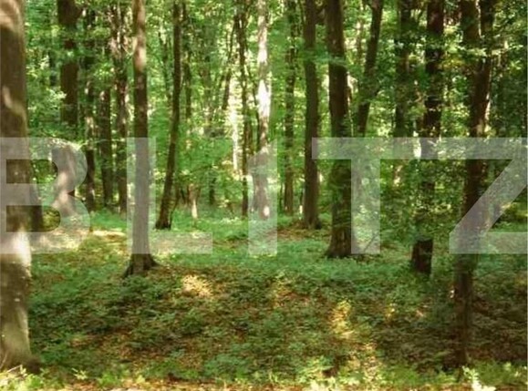 Teren de vânzare Pipera - 148728TV | BLITZ București | Poza2