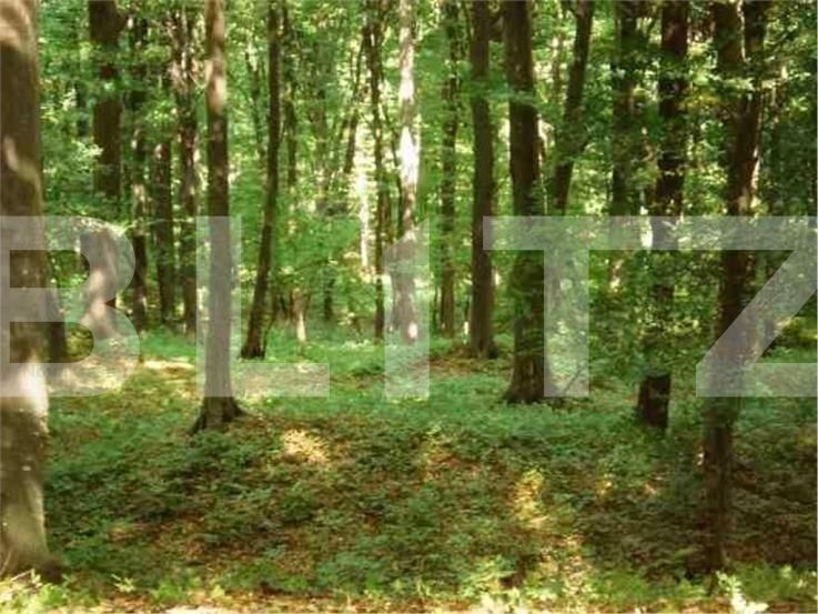 Teren de vânzare Pipera - 148728TV | BLITZ București | Poza2