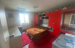 Casa individuala, 340 mp, D+P+1, zona metrou Constantin Brancoveanu