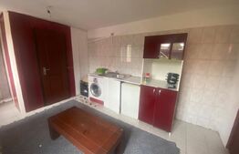 Casa individuala, 340 mp, D+P+1, zona metrou Constantin Brancoveanu