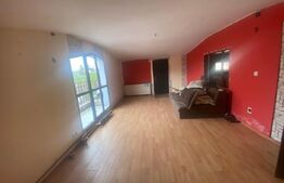 Casa individuala, 340 mp, D+P+1, zona metrou Constantin Brancoveanu