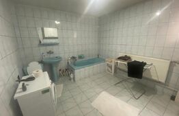 Casa individuala, 340 mp, D+P+1, zona metrou Constantin Brancoveanu