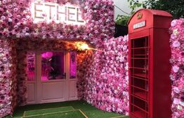 Spatiu Comercial| Dorobanti| 24mp