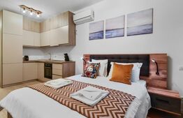 Studio de lux, 30 mp, zona Herastrau