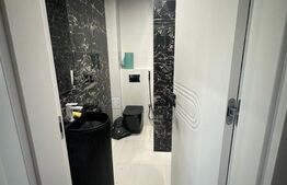 Comision 0%: Penthouse Exceptional 4 camere 253,20 mp zona Decebal 