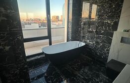 Comision 0%: Penthouse Exceptional 4 camere 253,20 mp zona Decebal 