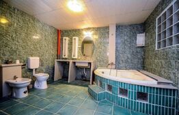 Ocazie unica de investitie, vila de lux in Balotesti