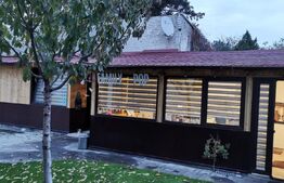 Casa de vanzare, 590 mp teren, Voluntari