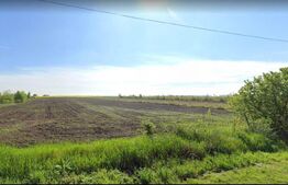 Teren intravilan, 1015mp, cartier Branesti