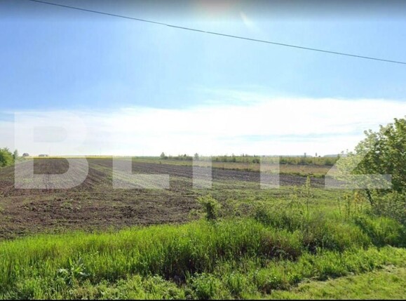 Teren de vânzare Branesti - 150675TV | BLITZ București | Poza1