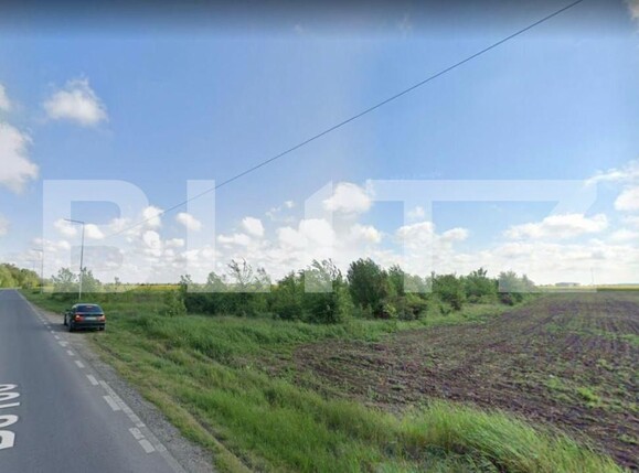 Teren de vânzare Branesti - 150675TV | BLITZ București | Poza2