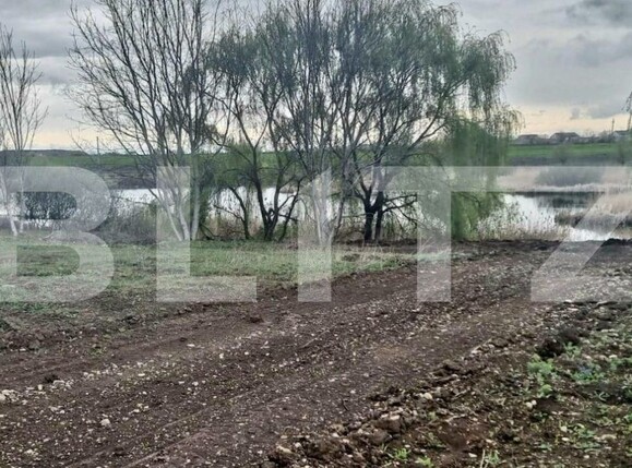 Teren de vânzare Corbeanca - 150676TV | BLITZ București | Poza1