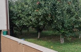 Vila de lux, 464 mp utili, zona selecta Dobroesti