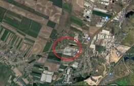 Teren arabil 5000mp, zona fabrica de paine, Dragomiresti Vale
