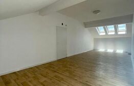 Vila 5 camere, 160 mp, terasa, zona Otopeni