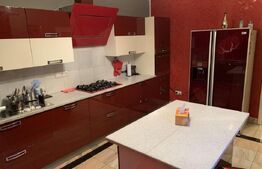 Casa Individuala, 4 camere, 300 mp, terasa, in Otopeni