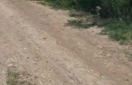 Teren de casa, 450 mp, in comuna Berceni 