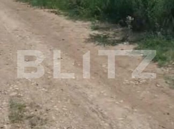 Teren de vânzare Vidra - 150696TV | BLITZ București | Poza2