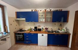 Casa 6 camere, 300 mp, teren, 750 mp, la 30m de lac, Mogosoaia