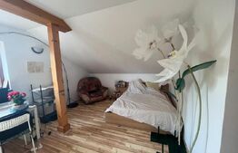 Casa 6 camere, 300 mp, teren, 750 mp, la 30m de lac, Mogosoaia