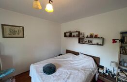 Casa 6 camere, 300 mp, teren, 750 mp, la 30m de lac, Mogosoaia